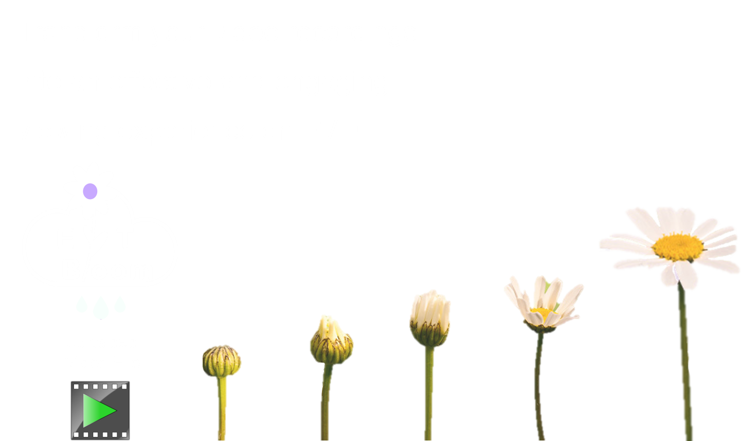 video blooming into an evt curated lecture